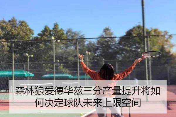森林狼爱德华兹三分产量提升将如何决定球队未来上限空间